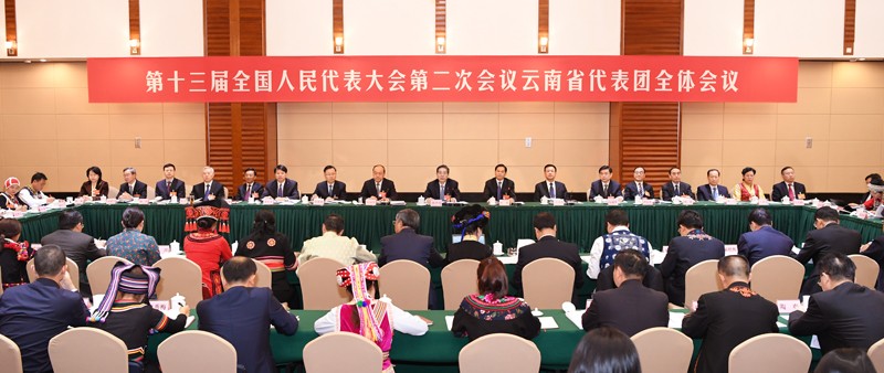郭声琨参加云南代表团审议